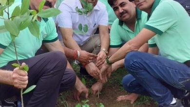 वन महोत्सव 2024 के अवसर पर किया वृक्षारोपण
