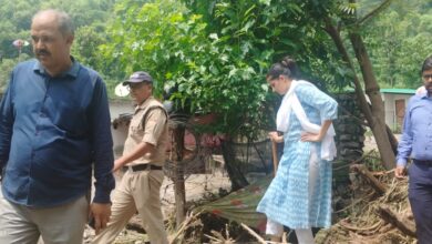 जिलाधिकारी ने लिया नुकसान का जायजा