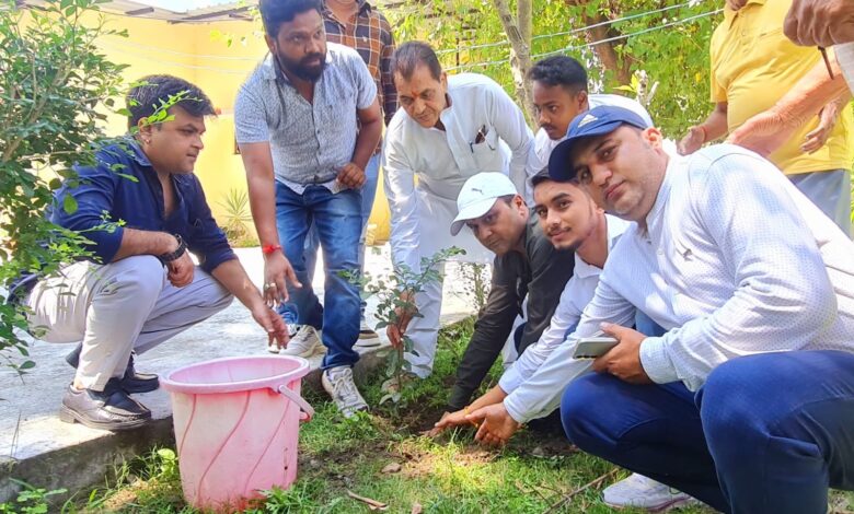 हिमालय दिवस पर कैबिनेट मंत्री ने किया पौधारोपण हिमालय दिवस पर कैबिनेट मंत्री ने किया पौधारोपण