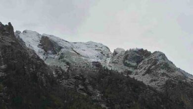करनदीप सिंह लापता मामला: कंपनी के जवाब का इंतजार, परिवार ने वीजा के लिए भेजा पासपोर्ट करनदीप सिंह लापता मामला: कंपनी के जवाब का इंतजार, परिवार ने वीजा के लिए भेजा पासपोर्ट
