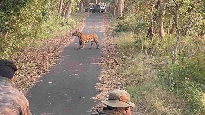 15 नवंबर से खुलेगा राजाजी टाइगर रिजर्व पार्क, शुरू हुए जंगल सफारी के पंजीकरण
