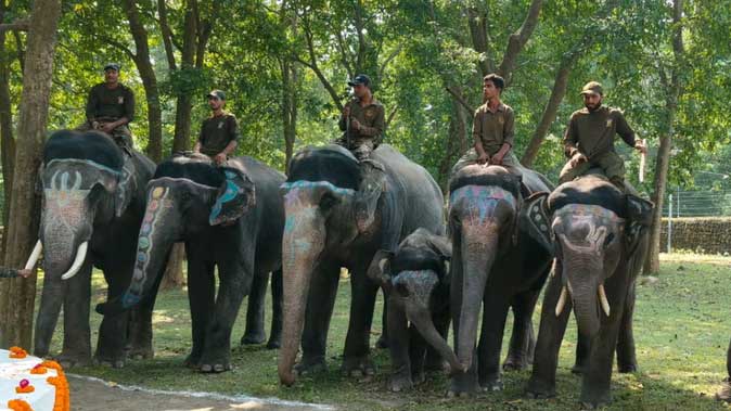 ‘खूनी हाथी’ बना चीला का राजा, अब पर्यटक करेंगे हाथियों पर बैठकर जंगल सफारी