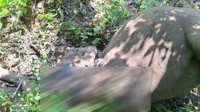 देहरादून में तेज रफ्तार कार ने पुलिसकर्मियों को रौंदा, तीन गंभीर रूप से घायल देहरादून में तेज रफ्तार कार ने पुलिसकर्मियों को रौंदा, तीन गंभीर रूप से घायल