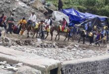 केदारनाथ धाम यात्रा से पहले घोड़ा-खच्चरों का पंजीकरण शुरू, बीमा शुल्क बढ़ने से संचालकों में रोष