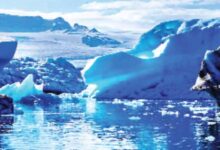 जलवायु परिवर्तन से मध्य हिमालय की जैव विविधता पर संकट, हिमपात घटा और बदला बारिश का स्वरूप