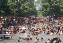 लच्छीवाला नेचर पार्क में वाइल्ड समर कार्निवल की शुरुआत, रोमांच और प्रकृति का अनोखा संगम