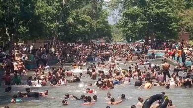 लच्छीवाला नेचर पार्क में वाइल्ड समर कार्निवल की शुरुआत, रोमांच और प्रकृति का अनोखा संगम