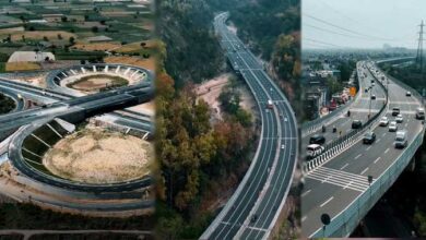 दिल्ली-देहरादून एक्सप्रेसवे पर वन्यजीवों के लिए बना अंडरपास बना आकर्षण का केंद्र