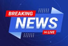 गरूड़ चट्टी पुल से युवक की गंगा में छलांग का वीडियो वायरल, रोमांच बना जानलेवा खतरा