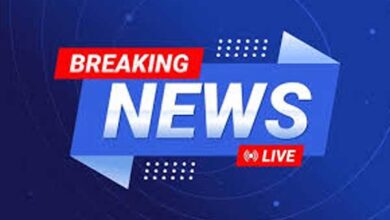 गरूड़ चट्टी पुल से युवक की गंगा में छलांग का वीडियो वायरल, रोमांच बना जानलेवा खतरा