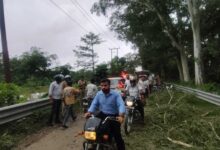 हरिद्वार: कलियर–धनौरी मार्ग पर बड़ा हादसा, चलती बाइक पर गिरा पेड़ का विशाल टहना, दो युवक गंभीर घायल