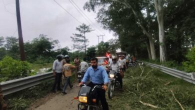 हरिद्वार: कलियर–धनौरी मार्ग पर बड़ा हादसा, चलती बाइक पर गिरा पेड़ का विशाल टहना, दो युवक गंभीर घायल