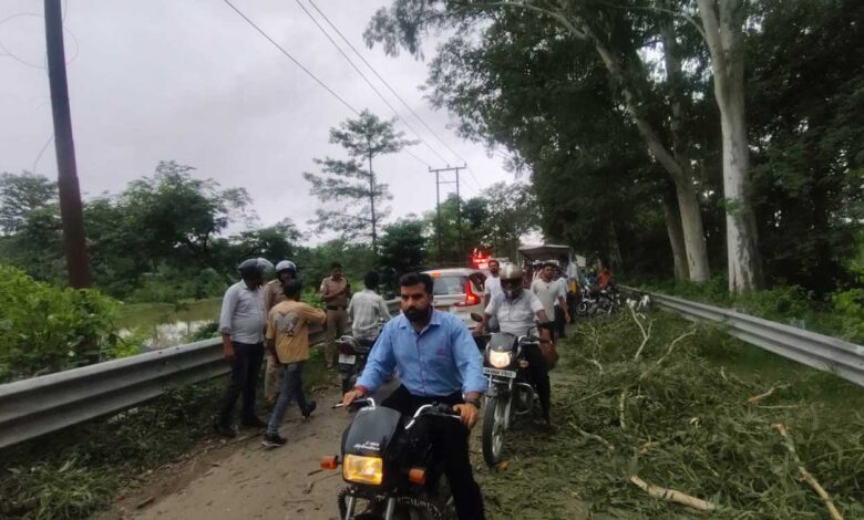 हरिद्वार: कलियर–धनौरी मार्ग पर बड़ा हादसा, चलती बाइक पर गिरा पेड़ का विशाल टहना, दो युवक गंभीर घायल हरिद्वार: कलियर–धनौरी मार्ग पर बड़ा हादसा, चलती बाइक पर गिरा पेड़ का विशाल टहना, दो युवक गंभीर घायल