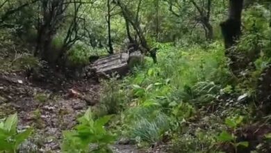 नैनीताल में हादसा: हल्द्वानी से आ रही कार 100 मीटर गहरी खाई में गिरी, चार घायल नैनीताल में हादसा: हल्द्वानी से आ रही कार 100 मीटर गहरी खाई में गिरी, चार घायल